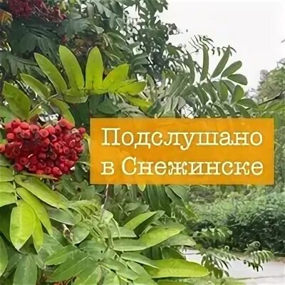 Подслушано в снежинске
