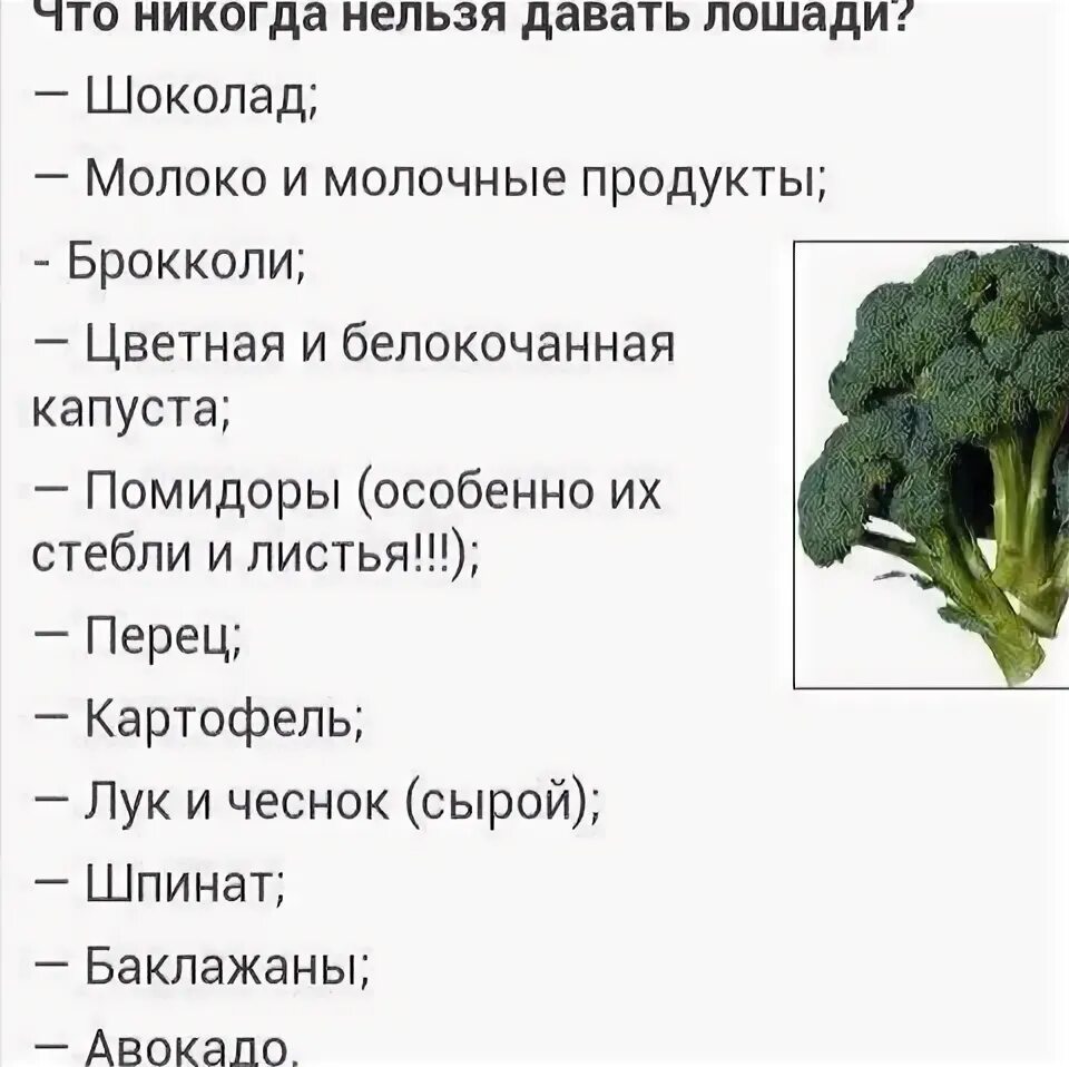 Какую траву нельзя пить. Травы для лактации грудного молока. Какие травы нельзя для беременных. Растение для потенции мужчин. Самые полезные травы.