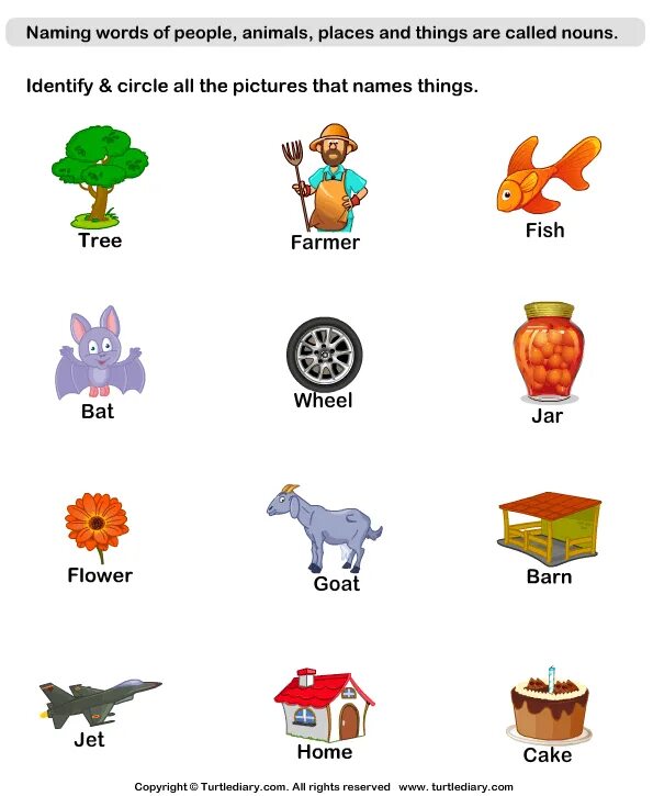 Write the names of the things