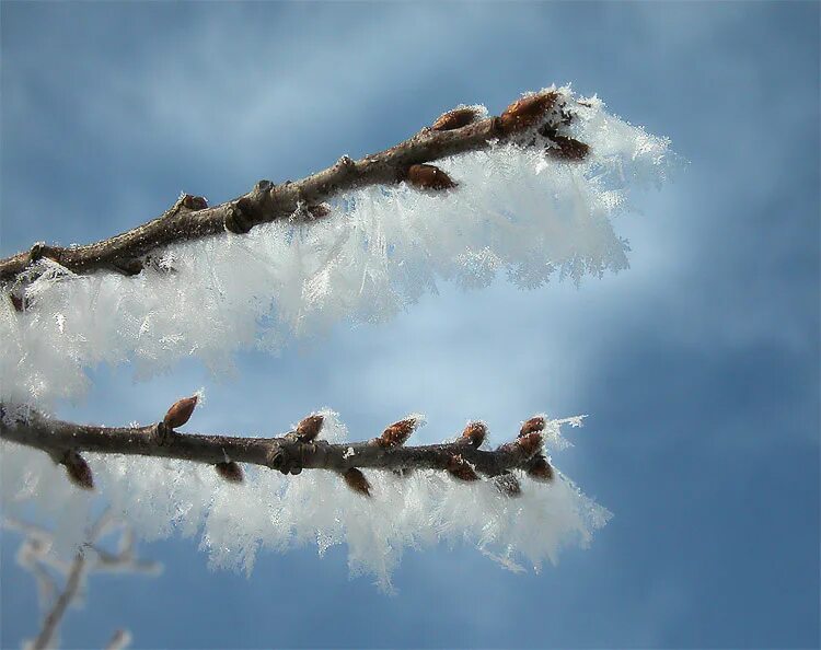 Масленица традиции. Прощаемся с зимой. Прощание с зимой. Прощание с зимой. Прощание с зимой.