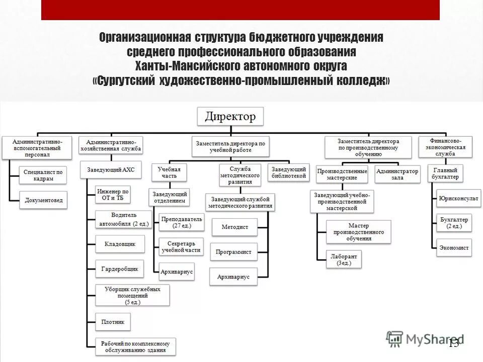 Заместитель директора бюджетного учреждения