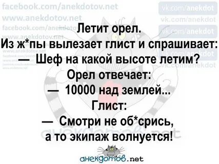 Анекдот летит