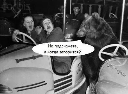 Медведь и горящая машина