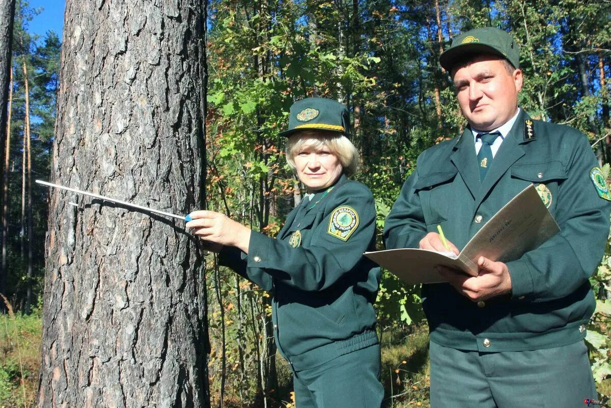 Евгений лесничий. Андрей лесник 1985. Удваивать лесника. Лесник и лесничий. Профессия лесник (егерь).