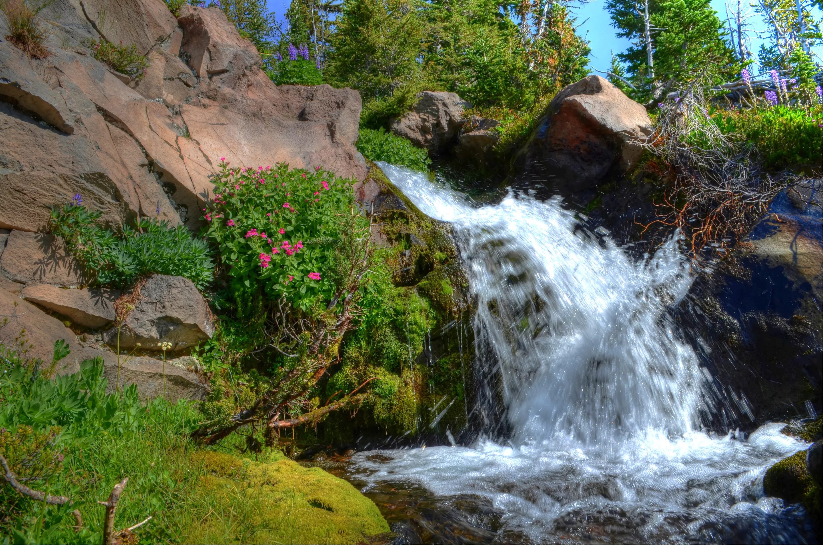 Cascad. Таежный водопад. Природа, водопад, трава, река, скалы. Водопад, скалы, камни, небо. Пейзаж камни водопад фото.