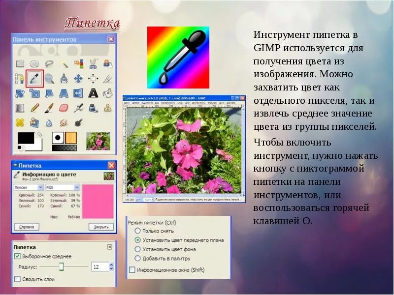 Цвет информации. Пипетка цветов. Получение цвета из изображения gimp. Определение цветов пипеткой