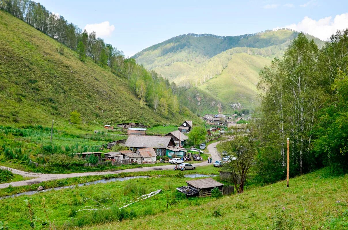 Жизнь в алтайском крае. Петропавловское Алтайский край. Алтайский край село комар. Село Соловьиха Петропавловского района Алтайского. Алтайский край Петропавловский район село Соловьиха.