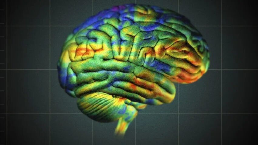 The brains video