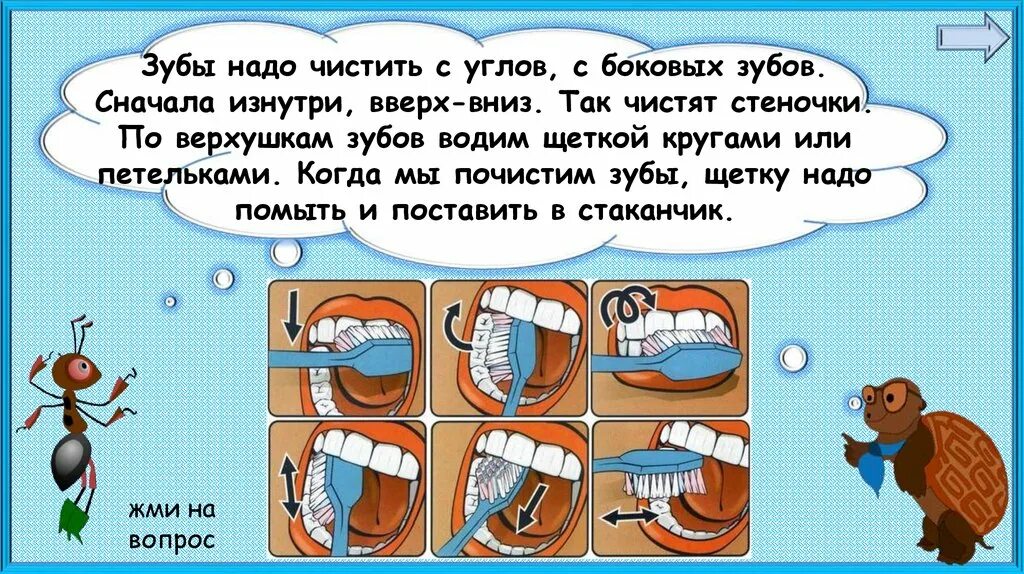 Почему нужно чистить зубы 1 класс видеоурок. Почему надо чистить зубы. зачем нужно чистить зубы и мыть руки. почему нужно чистить зубы и мыть руки. почему нужно чистить зубы и мыть руки задания.