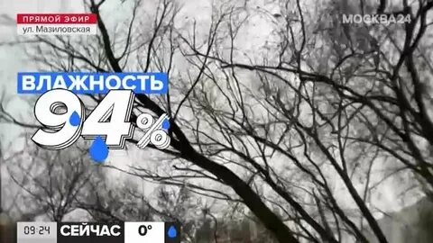 Погода на 23 сентября 2024