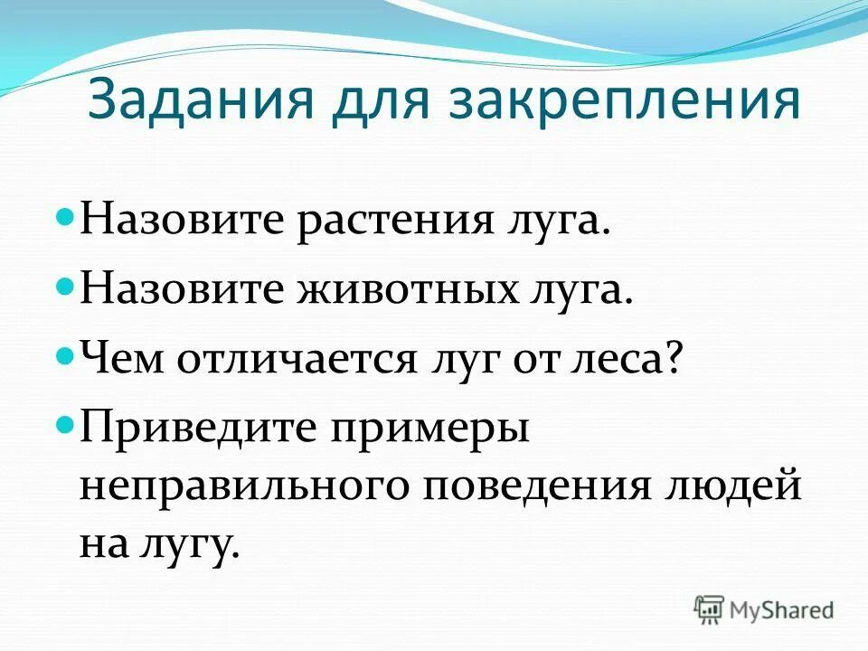 жизнь луга 4 класс окружающий мир. план про жизнь луга. луг информация. презентация на тему жизнь луга. план природного сообщества луг.