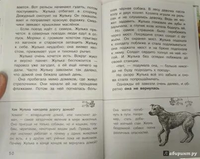 Пришвин жулька