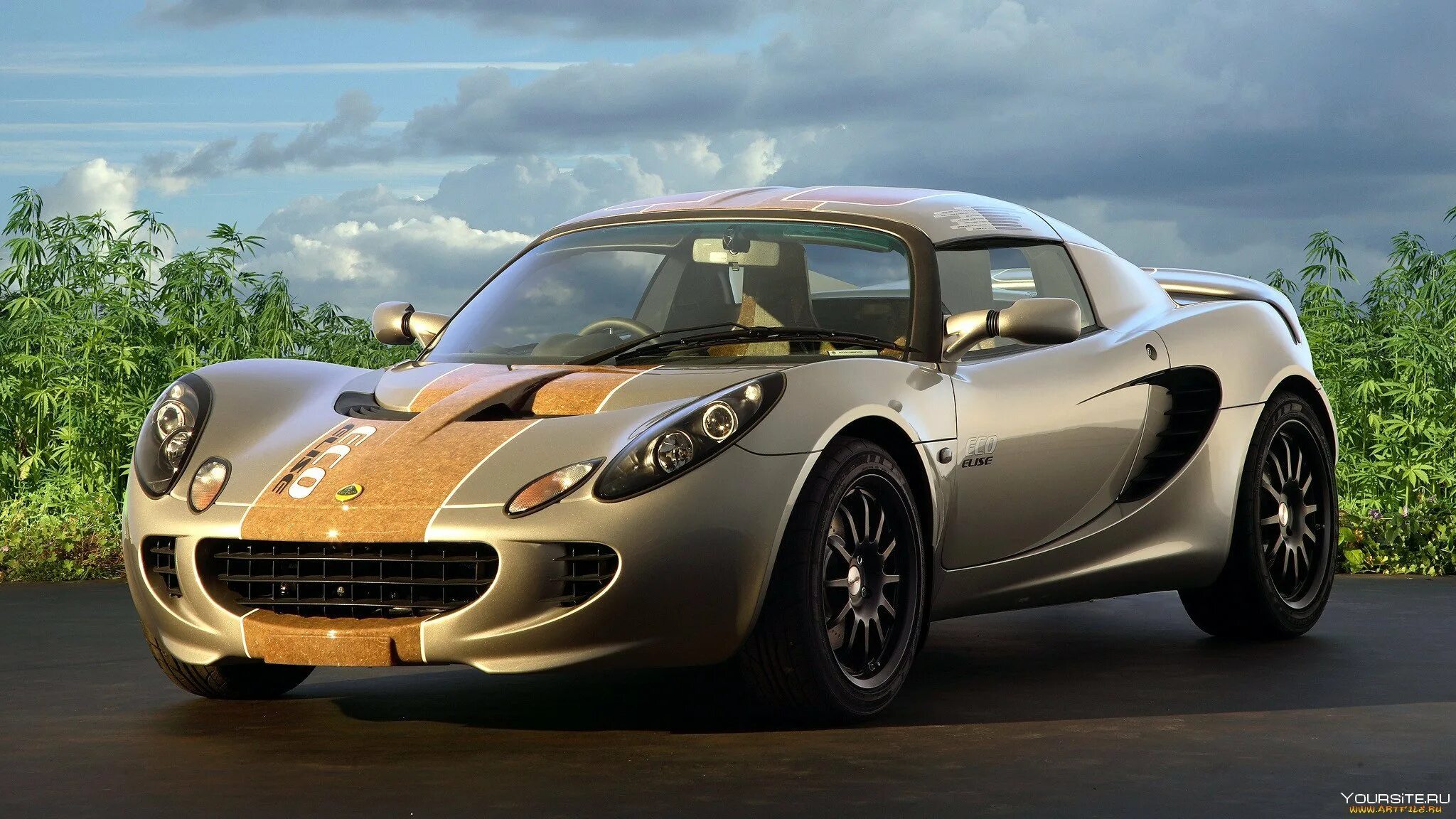 Автомобиль. Лотус Элис 2020. Lotus Elise 2008. Шевроле Лотус. Lotus Elise 2009.