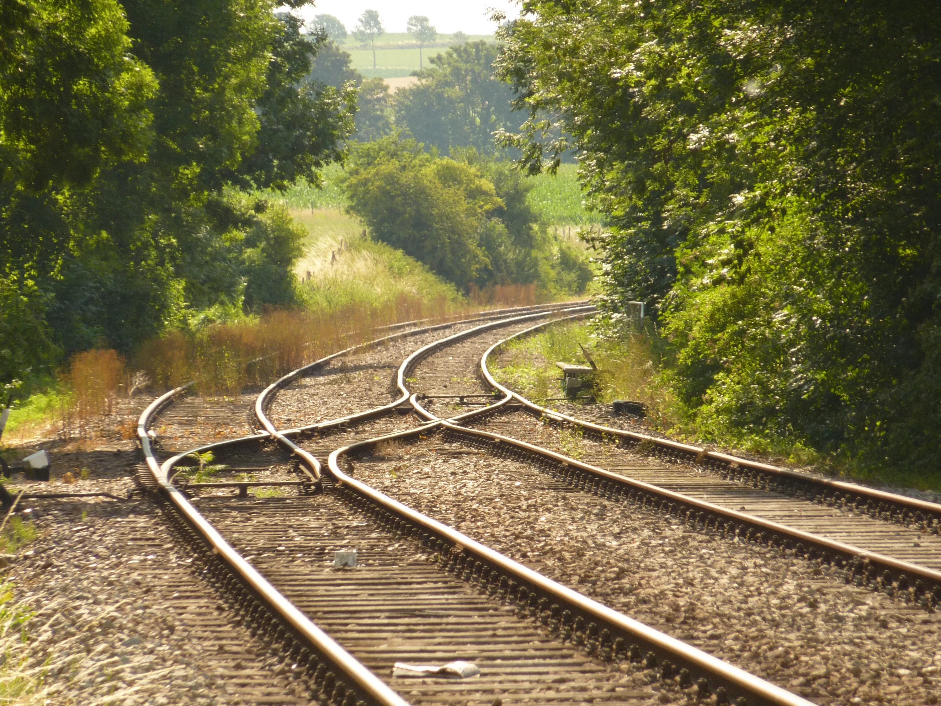 Railway line. Train Railway железная дорога. Рельсы. Рельсы поезда. Железная жорог.