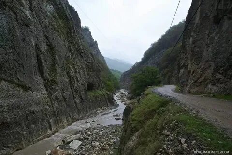 Губа району