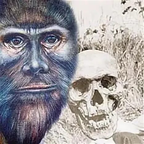 Заны хавнуты