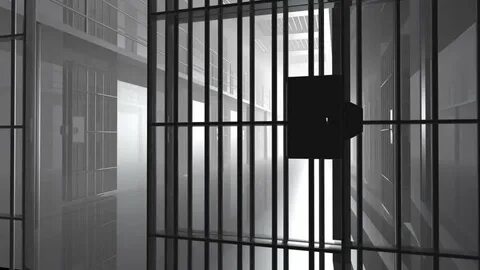 Prison doors