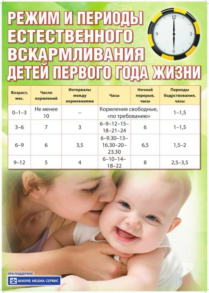 Режим кормления ноаорожд. График кормления ребенка до года. График питания новорожденного ребенка. График кормления грудничка.