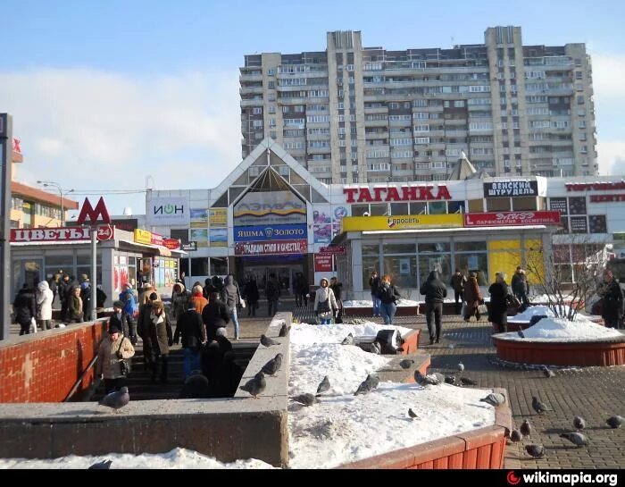 Птичий рынок москва калитниковская. Рынок на таганке. Рынок на таганке. Калитниковский рынок в москве. Рынок на таганке.