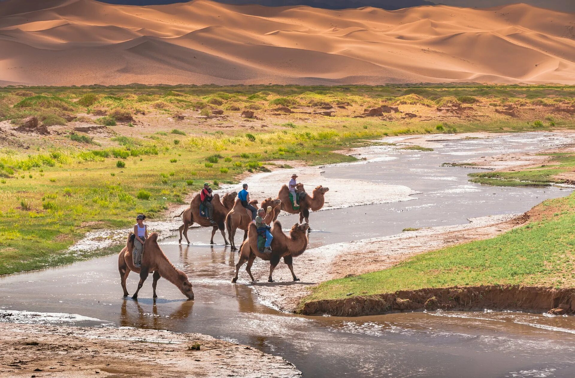 Природа монголии - пустыня гоби. Природа пустыни гоби. Монголия пустыня гоби 2023. Пустыня гоби монголия. Монголия.