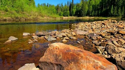 Каменистый слушать река