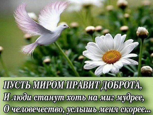 Пожелания добра и мира картинки позитивные ъъъъ Ücretsiz animasyonlu GIF PicMix