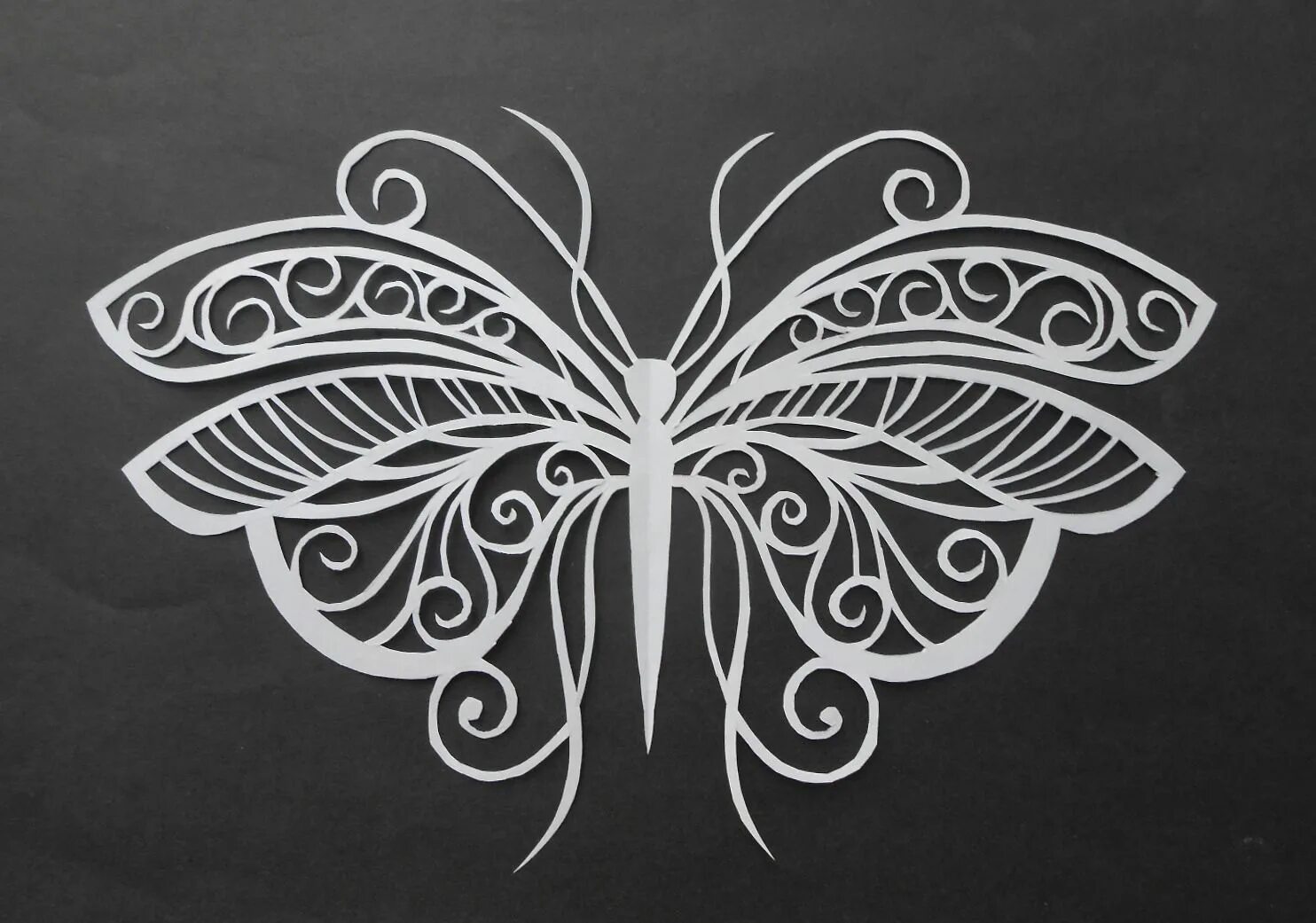 трафареты бабочки. вытынанки бабочки. бабочка вытынанка шаблон. вытынанки бабочки. бабочка вытынанка шаблон.