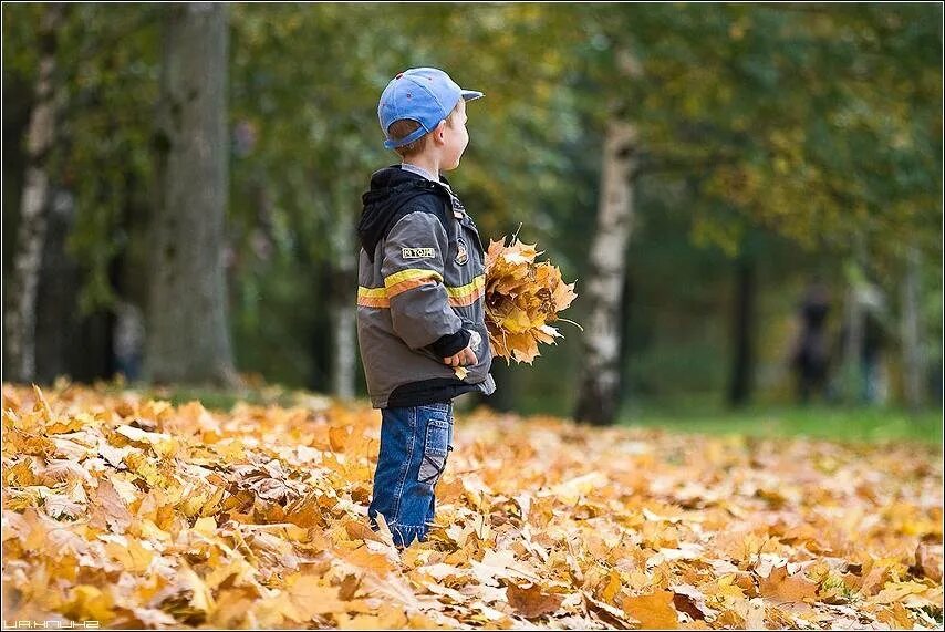 Осенняя прогулка. Прогулка в осеннем парке. Мальчик осень. Мальчик осенью. Собрать осенние листья