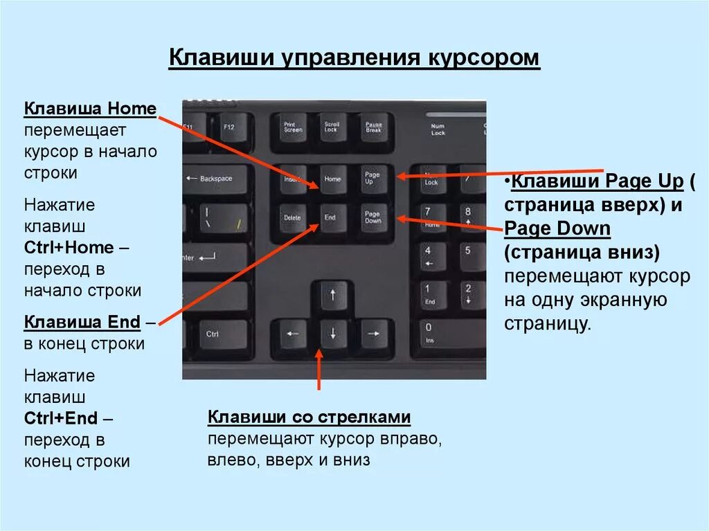 Какая кнопка нажата на компьютере. Как Скопировать кнопками клавиатуры. Как на компьютере вставить скопированный текст с помощью клавиатуры. Как вставить копирование клавиатурой. Как вставить копию на клавиатуре.