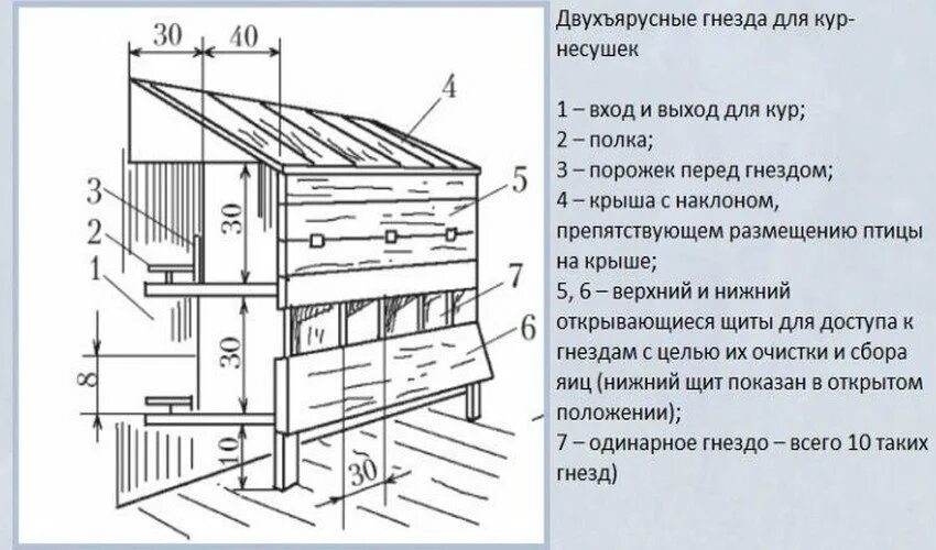 Гнёзда для кур несушек с яйцесборником чертежи. Гнездо для кур с яйцесборником чертеж. Размер гнезда для несушек курей. Чертеж гнезда для кур несушек.