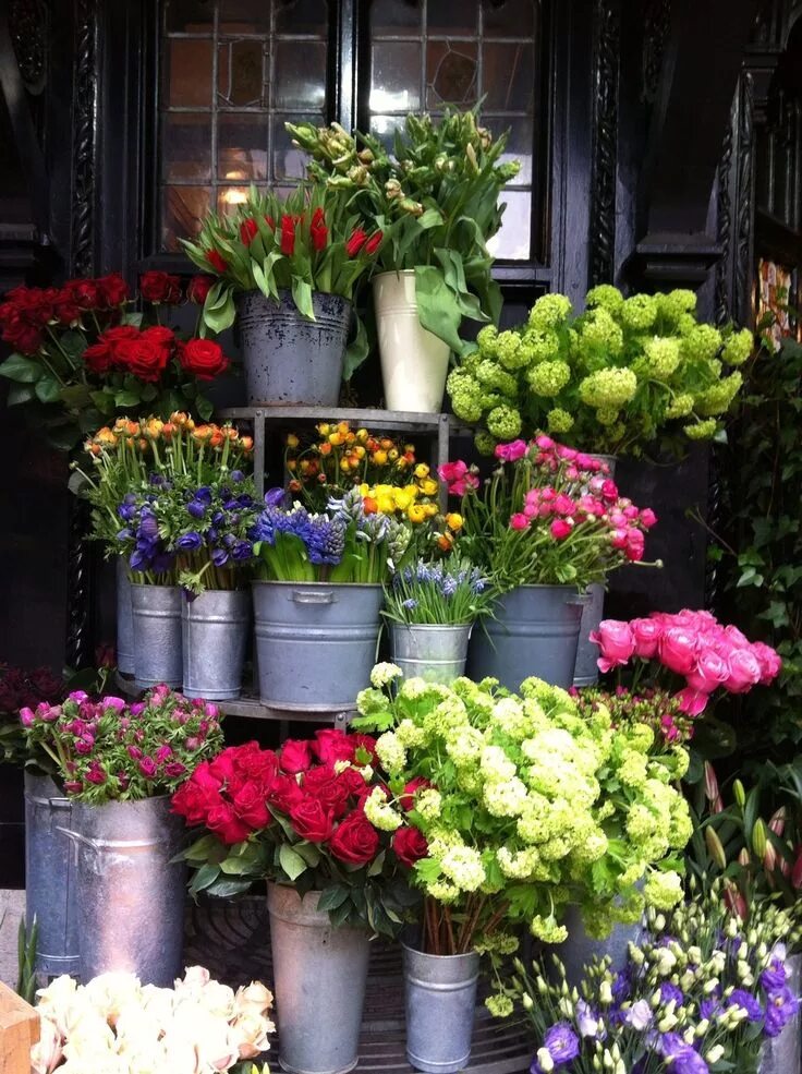 My flower shop. Цветочный магазин. Цветы в цветочном магазине. Витрина цветочного магазина. Прилавок цветочного магазина.