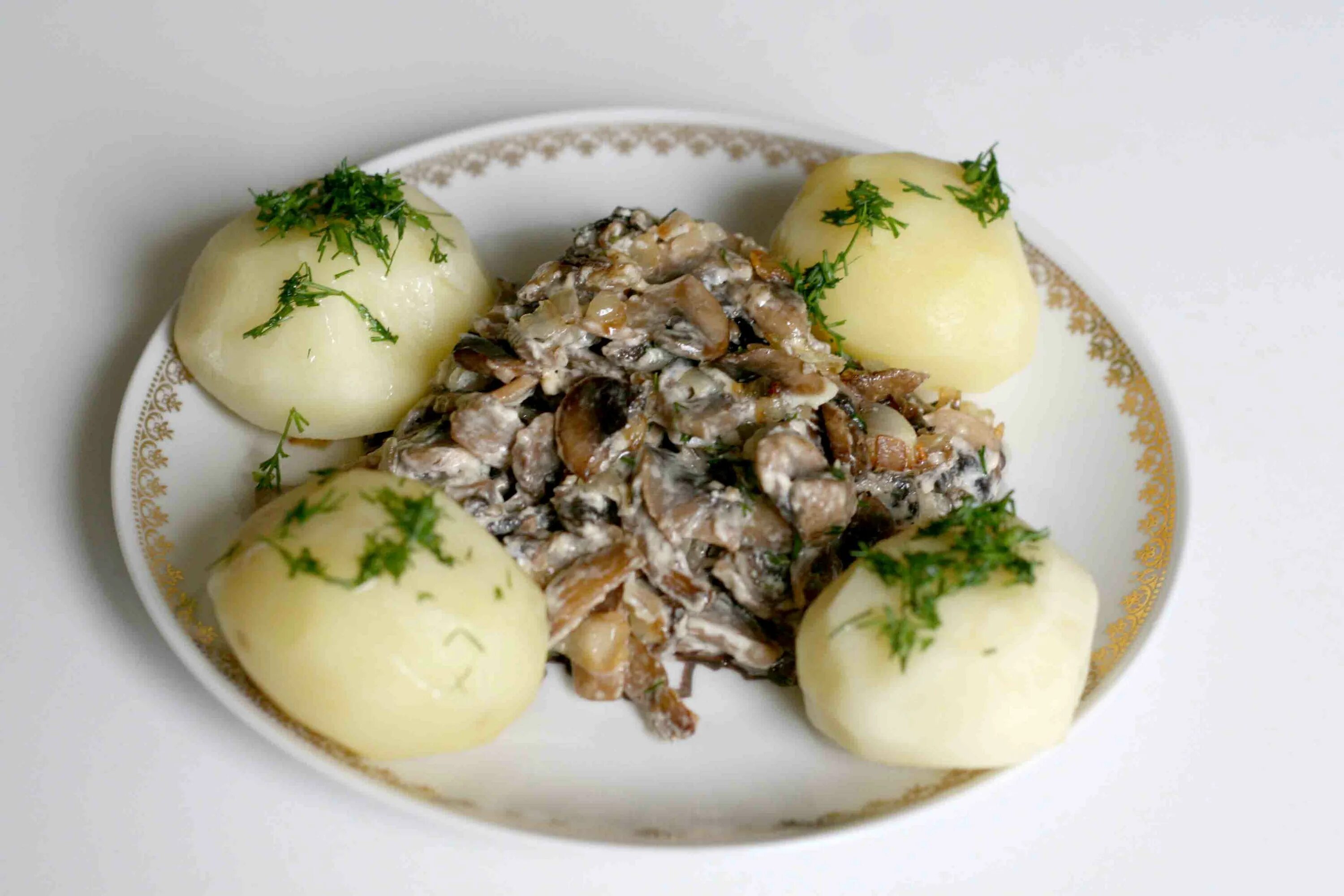 Картофель тушеный в сметане. Вареная картошка с грибами. Отварная картошка с грибами. Вареный картофель с грибами. Отварная картошка с грибами и луком.