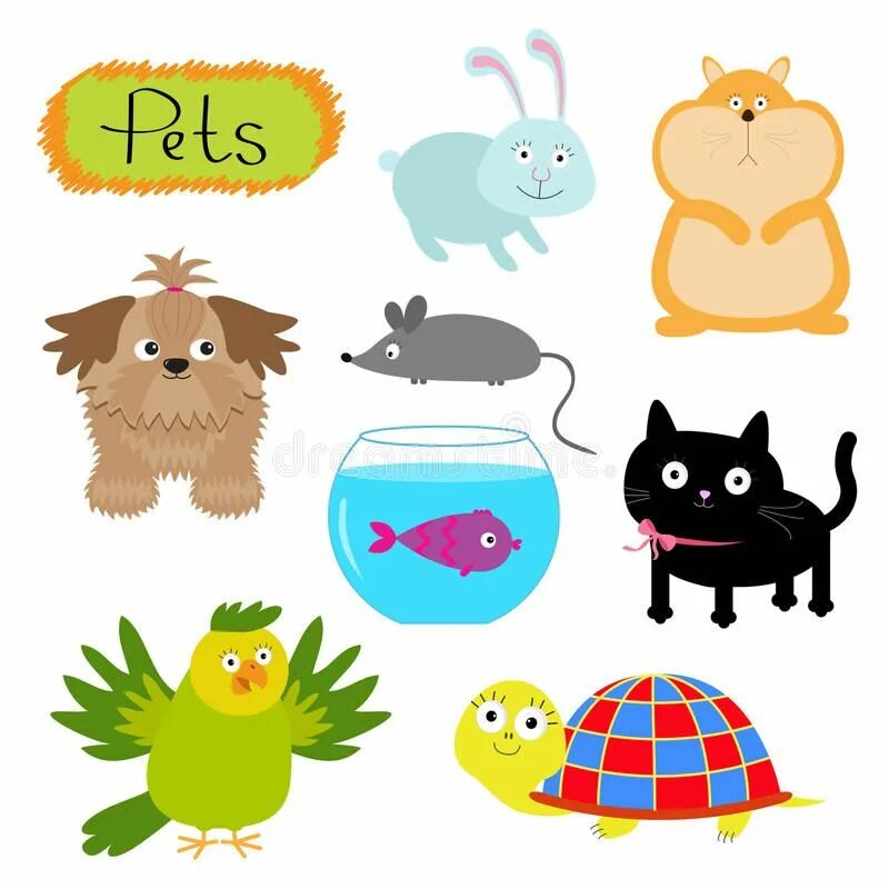 Do you have pet animals