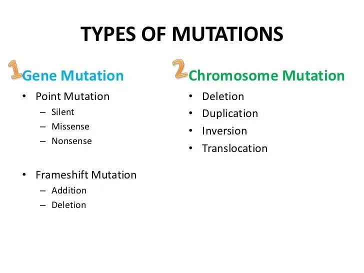 Mutation bss. Types of mutations. types of gene mutation. dna mutation. chromosomal mutations.
