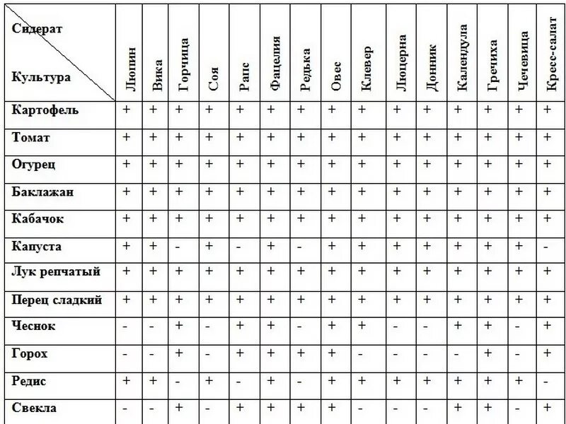 Огурцы и помидоры совместимы. Совместимость сидератов и овощей таблица. Таблица севооборота овощных культур и сидератов. Таблица высадки сидератов. Таблица сидератов для овощных культур таблица.