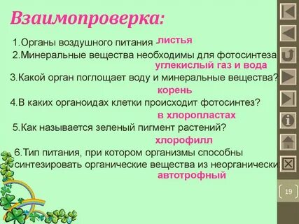 Воздушное питание корня