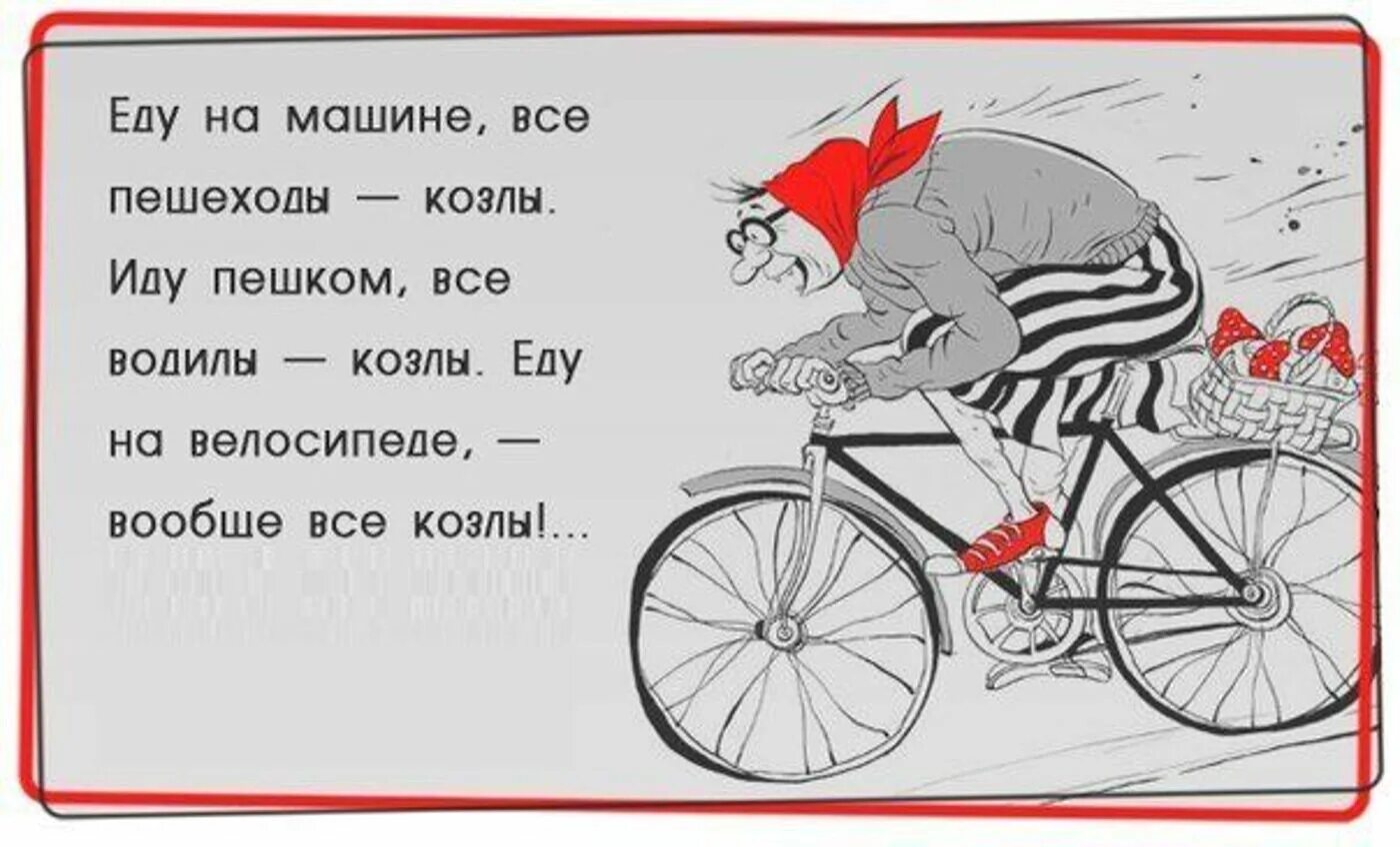 Анекдоты про велосипедистов. Цитаты про велосипед. Анекдот про велосипед. Афоризмы про велосипед.