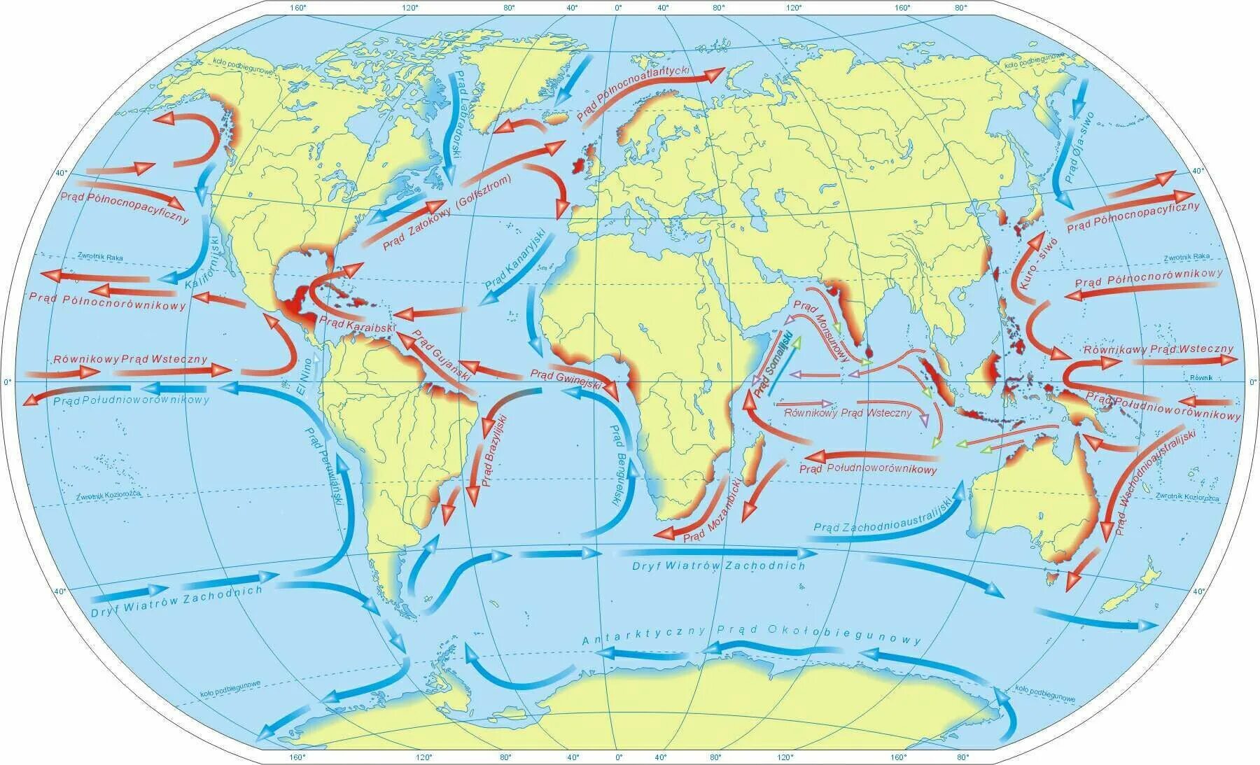 Теплые течения теплого полушария. Теплые течения на карте. Морские течения. Карта морских течений.
