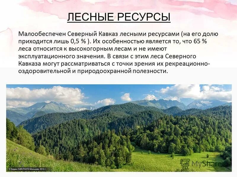 Природные условия европейского юга и урала. Лесные ресурсы Кавказском районе. Лесные ресурсы Северного Кавказа экономического района. Лесные ресурсы Северо Кавказского экономического района. Природные богатства Северного Кавказа.