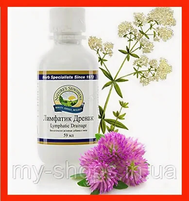 Добавки нсп лимфатик. Лимфатик дренаж нсп. Лимфатик дренаж nsp состав. Лимфатик дренаж nsp. Лимфатик дренаж nsp.