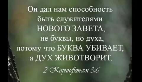 Мертва буква
