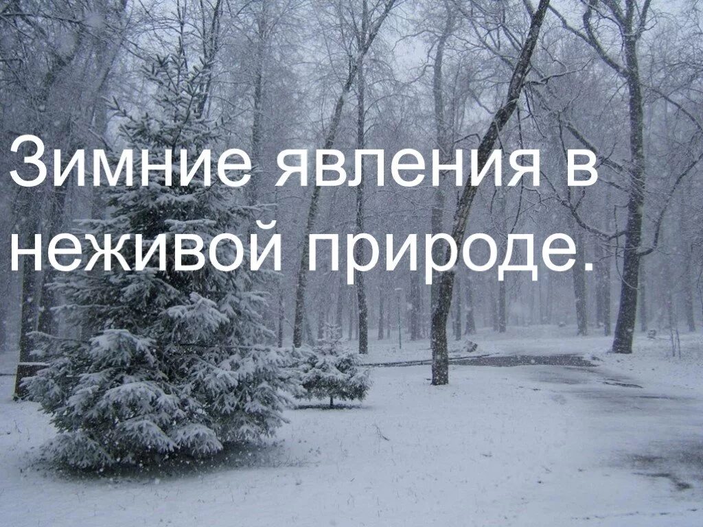 Зимние вления в не живой природе. Зимние явления в неживой. Зимние явления в неживой природе зимой. Зимние явления в неживой природе 2. Зимние явления неживой природы 2