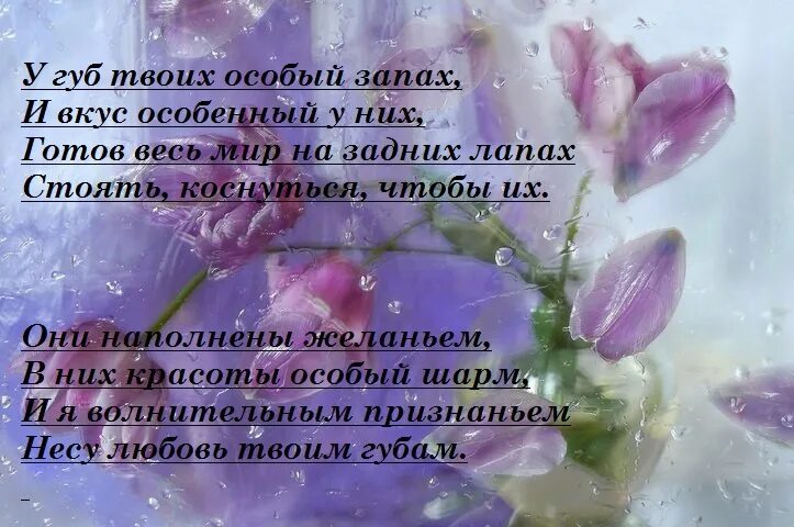 Самые нежные слова любимому. Нежно и ласково обнимаю. Красиво о любви к мужчине. Красивые стихи о любви. Хочу тебе сказать что люблю тебя.