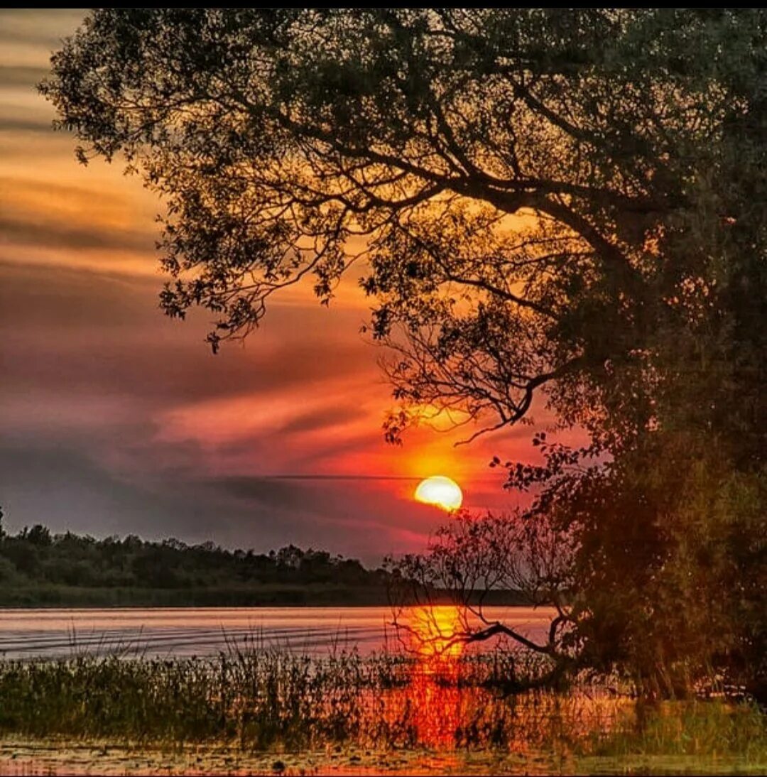 Закат окончил теплый летний вечер. Лето вечер. Природа закат. Природа вечер. Закаты теплый вечер.