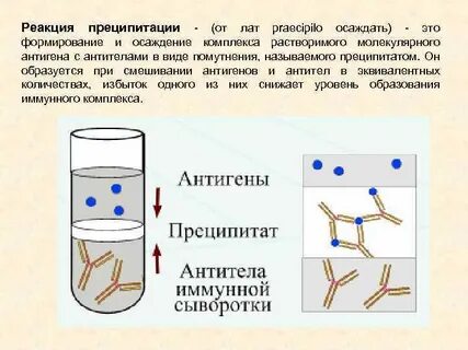 Преципитация иммунных комплексов