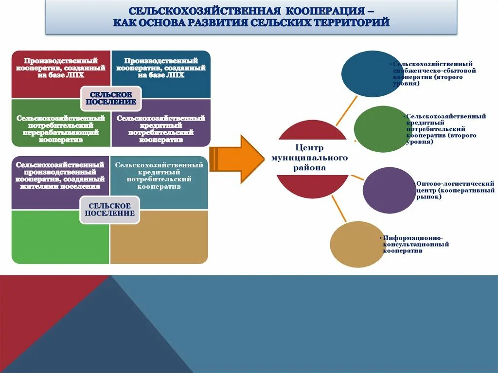 Социальная программа сельского поселения