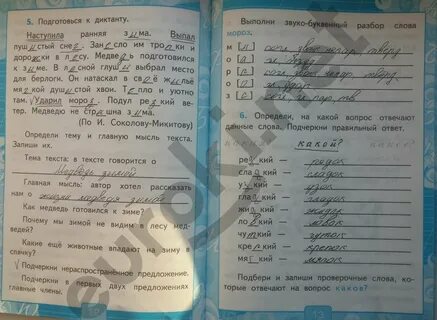 4 класс родной русский язык учебник решебник