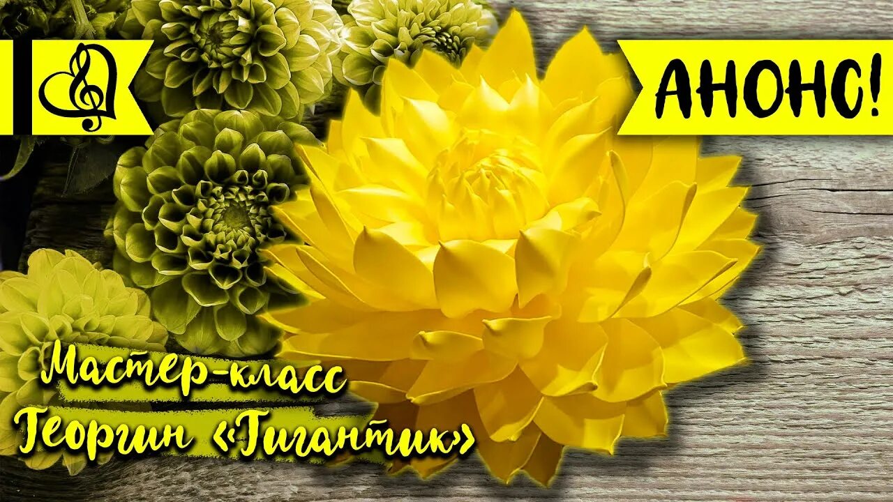 Шапка связанная коралл. Анонс мастер класса. Анонс мастер класса пример. Анонс мастер класса готовкит. Анонс мастер класса пример.