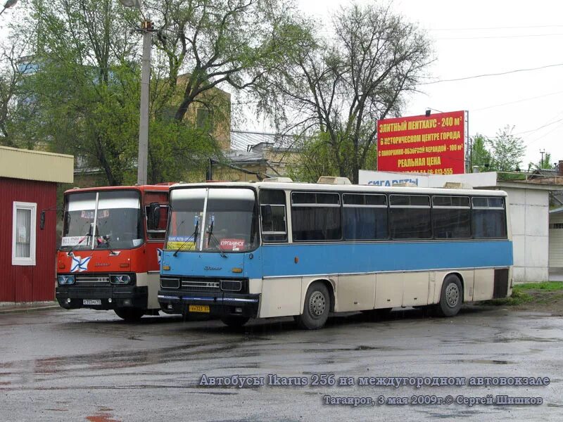 Икарус 256.75. Икарус 256 Крым. Икарус 256.51. Икарус Ростов на Дону. Маршрутки курганинск