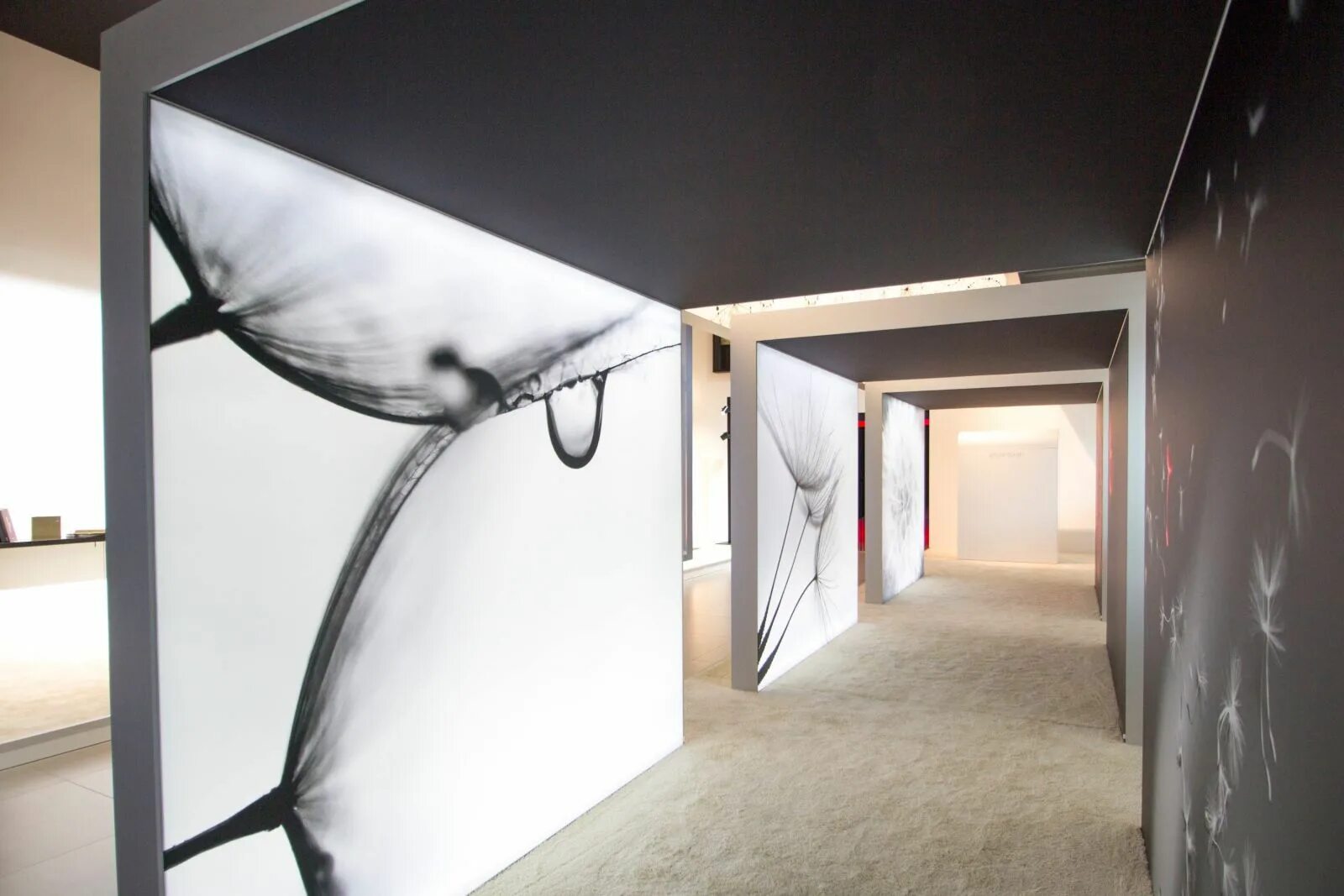 Lightbox gallery